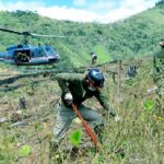 Erradican 3,456 hectáreas de cultivos ilegales de hoja de coca en Huánuco y Ucayali