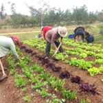 Empoderan a madres como proveedoras técnicas para conservar calidad de suelos agrarios