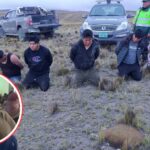 Seis presuntos delincuentes fueron capturados tras asalto a unidades de transporte en Aricoma