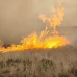 Incendio forestal consume pastizales en el km 35 de la vía Puno-Mañazo